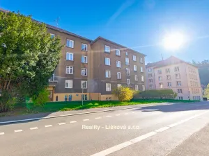 Prodej bytu 2+1, Ústí nad Labem - Střekov, Třebízského, 59 m2