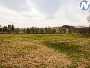 Prodej pozemku pro bydlení, Zdíkov, 18188 m2