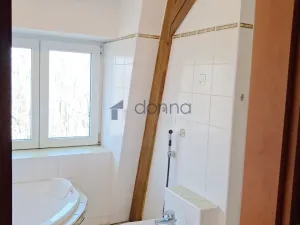 Pronájem bytu 1+kk, Praha, Smolíkova, 61 m2
