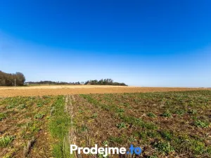 Prodej pozemku pro bydlení, Budišov, 561 m2