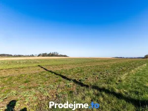 Prodej pozemku pro bydlení, Budišov, 1132 m2