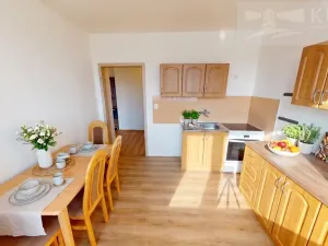 Prodej bytu 2+1, Jince, 59 m2