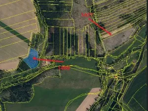 Prodej lesa, Pacov, 10995 m2