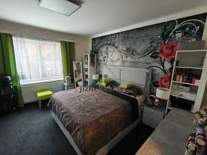 Prodej rodinného domu, České Velenice, Komenského, 450 m2