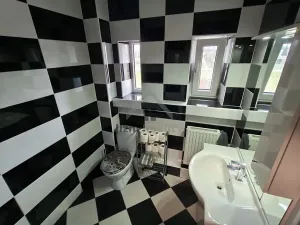 Prodej rodinného domu, České Velenice, Komenského, 450 m2