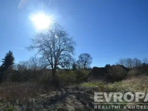 Prodej rodinného domu, Dolní Hbity - Jelence, 780 m2