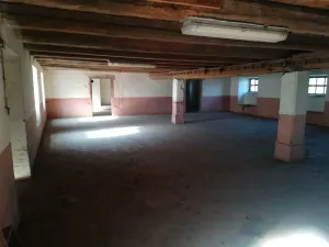 Pronájem skladu, Mladá Boleslav - Čejetičky, Vinecká, 197 m2