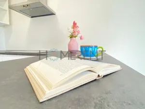 Pronájem bytu 1+kk, Praha - Hostivař, Bratislavská, 35 m2