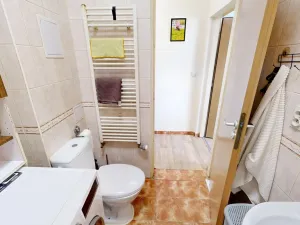 Prodej bytu 1+kk, Šestajovice, Komenského, 32 m2