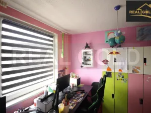 Prodej bytu 3+1, Třebíč, Energetiků, 60 m2