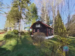 Prodej chaty, Spálené Poříčí - Vlkov, 50 m2