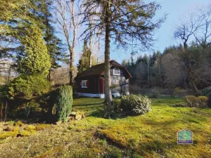 Prodej chaty, Spálené Poříčí - Vlkov, 50 m2