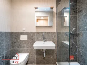 Pronájem bytu 1+kk, Brno - Zábrdovice, Bratislavská, 24 m2