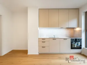 Pronájem bytu 1+kk, Brno - Zábrdovice, Bratislavská, 24 m2