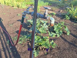 Prodej zahrady, Podbořany, Sídliště Míru, 241 m2