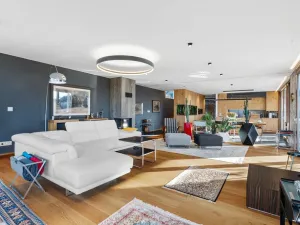 Prodej vícegeneračního domu, Tmaň, Prof. Krbce, 294 m2