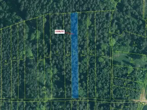 Dražba lesa, Hosty, 1729 m2