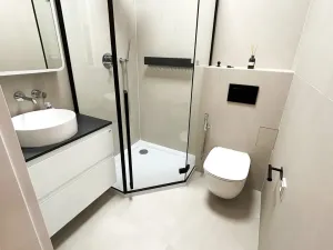 Pronájem bytu 2+1, Praha, Vrchlického, 51 m2