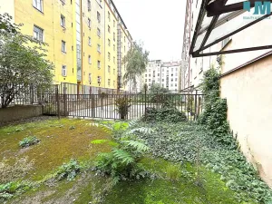 Pronájem bytu 2+1, Praha, Vrchlického, 51 m2