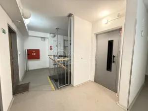 Pronájem bytu 2+kk, Praha - Žižkov, Sudoměřská, 62 m2