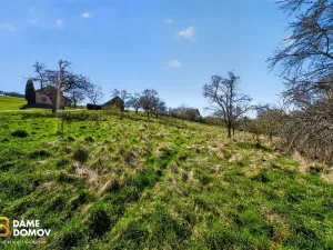 Prodej pozemku pro bydlení, Březnice, 1600 m2
