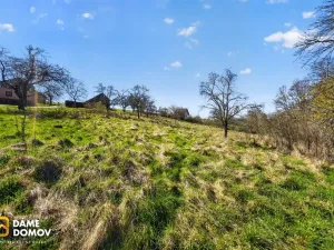 Prodej pozemku pro bydlení, Březnice, 1600 m2