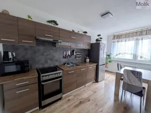 Prodej bytu 3+1, Krupka - Maršov, Dukelských hrdinů, 68 m2