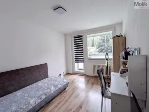 Prodej bytu 3+1, Krupka - Maršov, Dukelských hrdinů, 68 m2