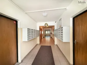 Pronájem bytu 2+1, Osek, Hrdlovská, 52 m2