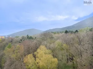 Pronájem bytu 2+1, Osek, Hrdlovská, 52 m2