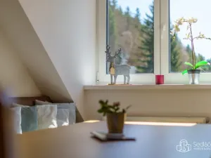 Prodej bytu 3+kk, Jáchymov, K Lanovce, 79 m2