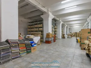 Prodej obchodního prostoru, Želetice, 3355 m2