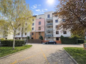 Prodej bytu 5+1, Praha - Dejvice, Paťanka, 150 m2