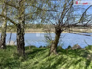 Prodej zahrady, Veltrusy, V Cihelnách, 583 m2