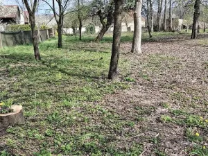 Prodej pozemku, Jenišovice, 871 m2