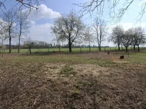 Prodej pozemku, Jenišovice, 871 m2