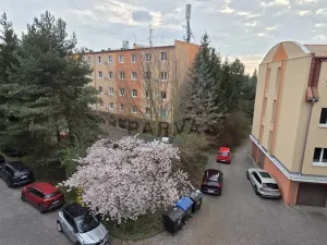 Pronájem bytu 4+1, Plzeň - Černice, K Lutové, 80 m2