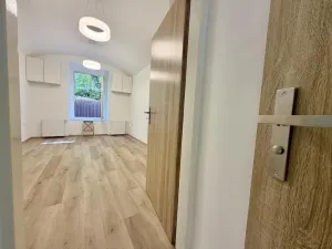 Prodej bytu 1+1, Praha - Žižkov, Hartigova, 29 m2