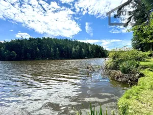 Prodej chaty, Tachov - Oldřichov, 41 m2