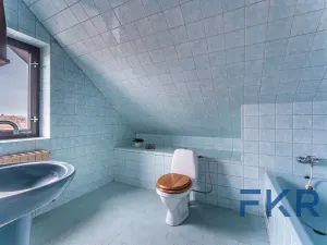 Prodej rodinného domu, Mlečice, 234 m2