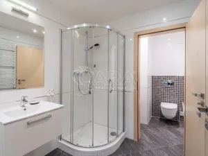 Pronájem bytu 1+kk, Praha - Žižkov, Olšanská, 37 m2