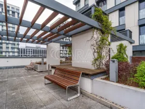 Pronájem bytu 1+kk, Praha - Žižkov, Olšanská, 37 m2