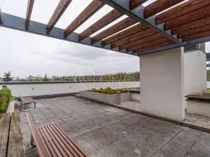 Pronájem bytu 1+kk, Praha - Žižkov, Olšanská, 37 m2