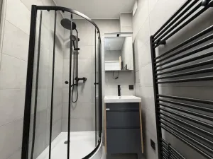 Prodej bytu 1+1, Praha - Nusle, 5. května, 40 m2