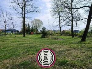 Prodej pozemku pro bydlení, Loučeň, Sportovní, 1693 m2