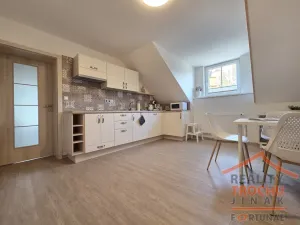 Prodej apartmánu, Trutnov, Polská, 715 m2