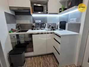 Pronájem bytu 1+kk, Opava, Antonína Sovy, 21 m2