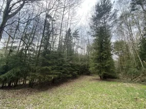 Prodej pozemku, Volfířov - Brandlín, 5958 m2