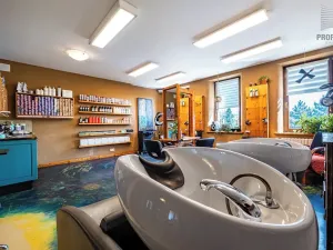 Prodej vícegeneračního domu, Brno, Otakara Ševčíka, 190 m2