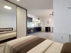 Prodej bytu 1+kk, Brno, Křenová, 32 m2